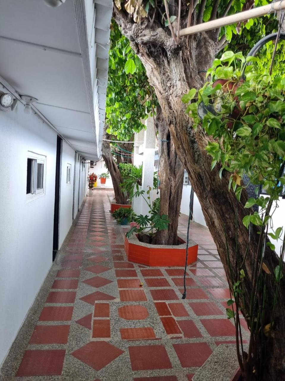 Hotel Mayte Fonseca المظهر الخارجي الصورة