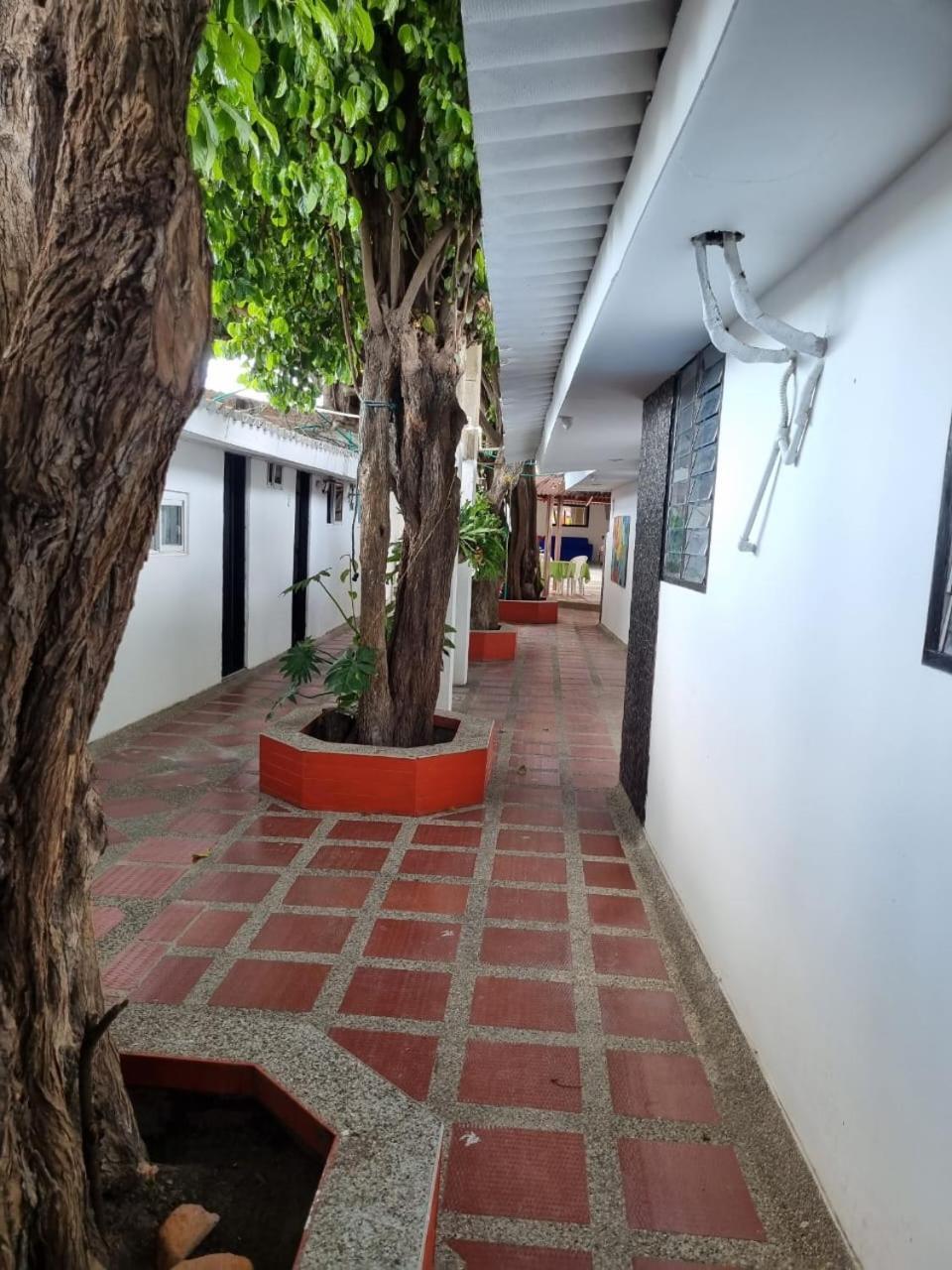 Hotel Mayte Fonseca المظهر الخارجي الصورة